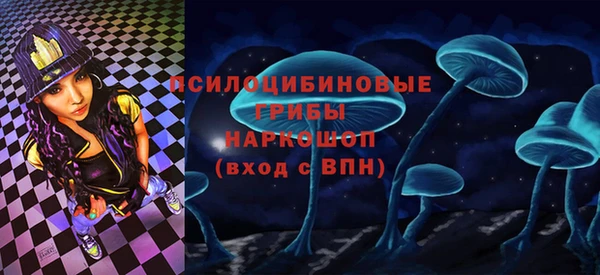 дурь Арсеньев